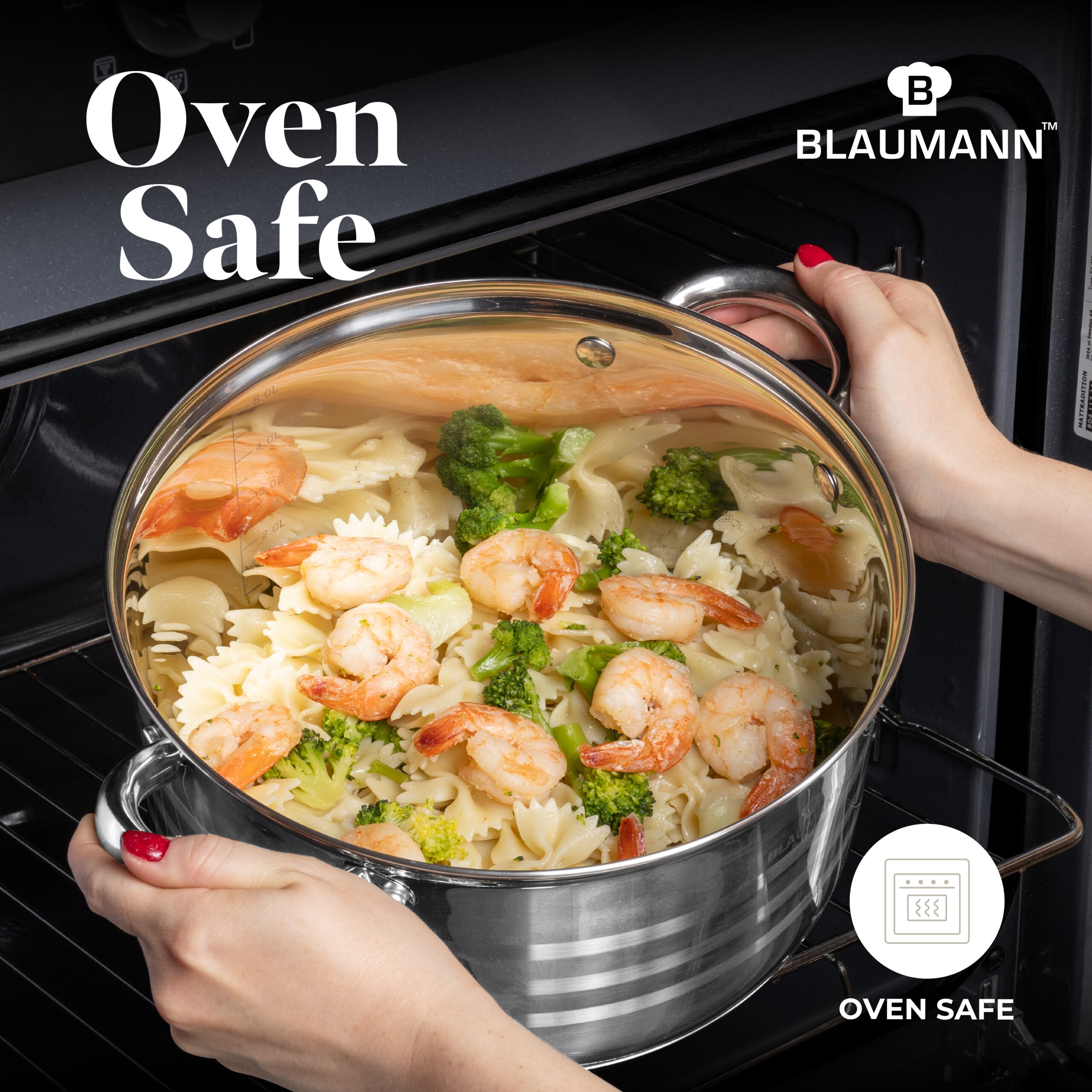 BL-3861_oven_safe 2